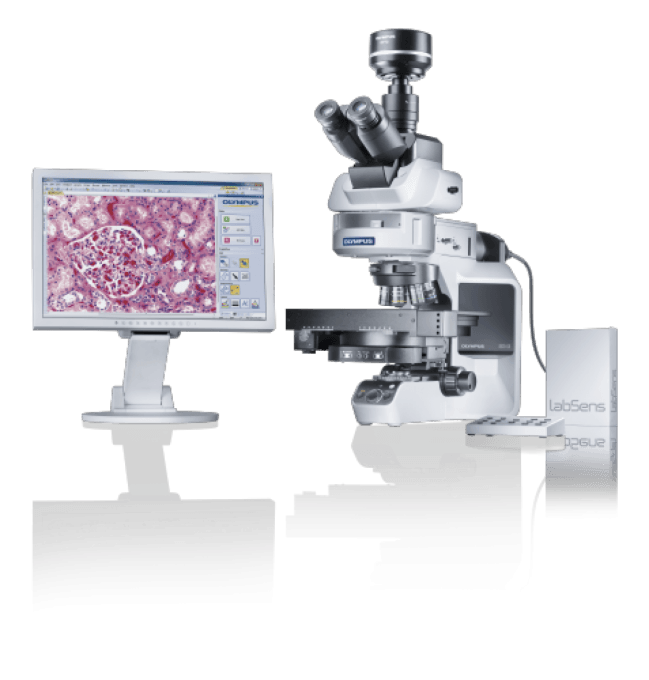 Microscope OLYMPUS BX43