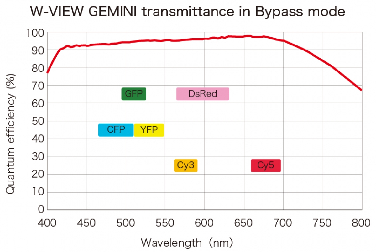 W-VIEW GEMINI Image Splitting Optics -2